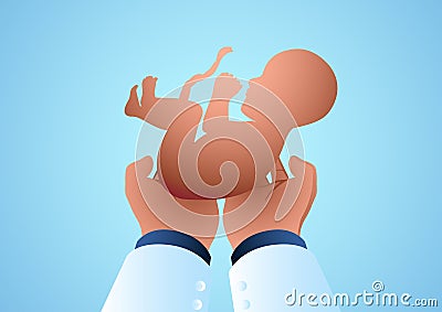 Vector illustrations of a doctors hand holding a fetus Vector Illustration