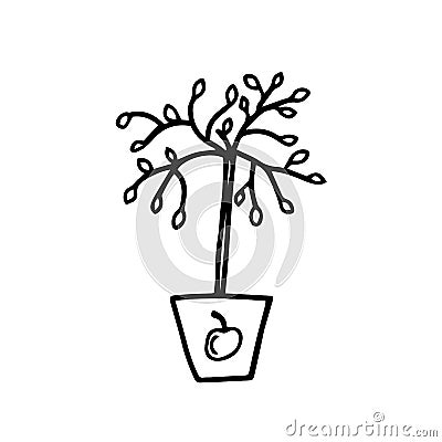 Vector illustrations seedling apple trees, hand drawn, doodle Vector Illustration