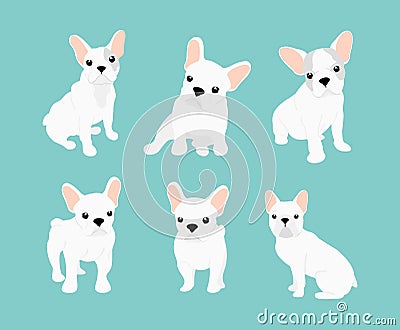 Vector illustrations set of cute little white French bulldog. Happy and funny pictures of bulldog puppy in different Vector Illustration