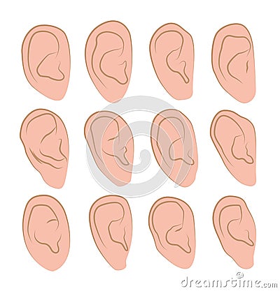 Vector illustrations set of hand drawn human ears in various shapes on a white background. Vector Illustration