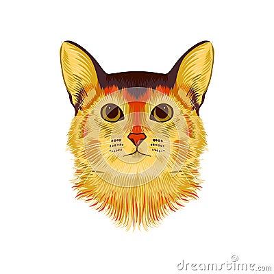 Vector Illustrative Portrait of Abyssinian Cat. Hand drawn sketch, cute breed of domestic short haired cat Vector Illustration