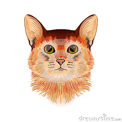 Vector Illustrative Portrait of red and brown Cat. Hand drawn sketch, cute breed of domestic short haired cat with big eyes. Vector Illustration