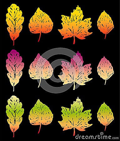 Vector image of autumn leaves various deciduous trees Vector Illustration