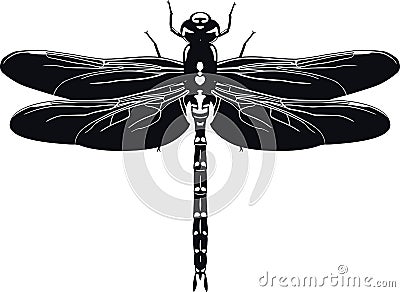 Black silhouette of dragonfly on white background. Vector illustration Vector Illustration