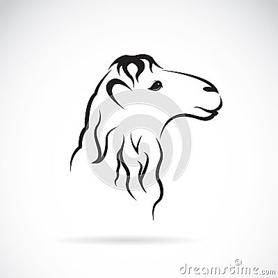 Vector image of an camel head Vector Illustration