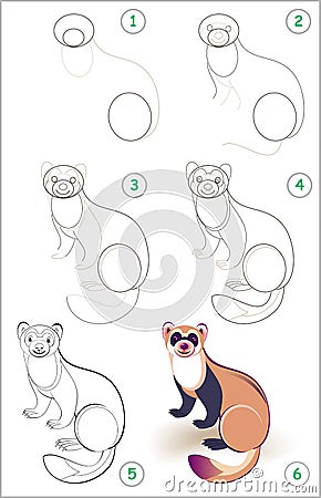 Educational page for kids shows how to learn step by step to draw a cute ferret. Back to school. Developing children skills. Vector Illustration