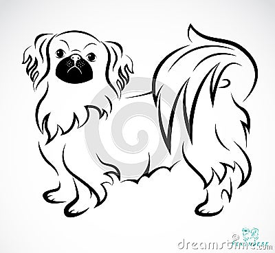 Vector image of an Dog (Pekingese) Vector Illustration