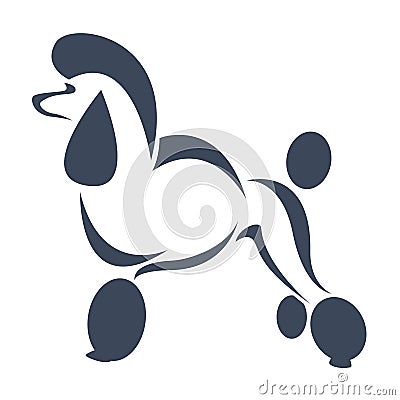 Vector image of an dog (poodle) Vector Illustration