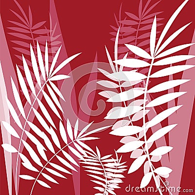 Vector image with fern leaves Vector Illustration