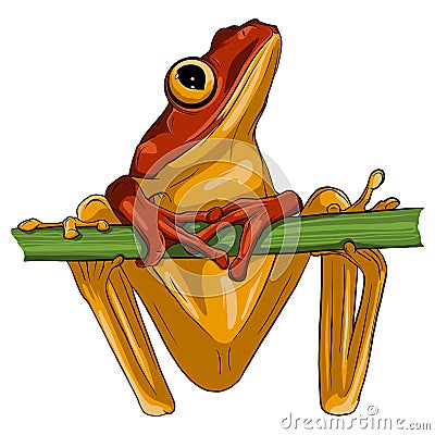 Vector image of an frog design on white background, Vector Illustration