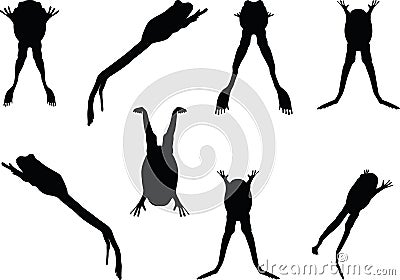 Vector Image - frog silhouette on white background Vector Illustration