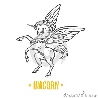 Vector image of heraldic unicorn. Vector Illustration