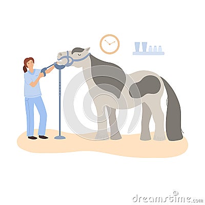 a vector image of horse dental care Vector Illustration