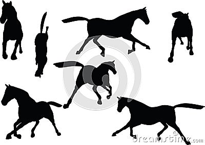 Vector Image - horse silhouette in fast trot pose on white background Vector Illustration
