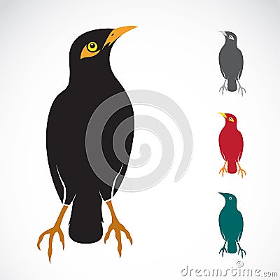 Vector image of an Myna bird Vector Illustration