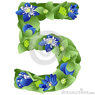 vector image of the number 5 in the form of flowers and leaves of liverwort Stock Photo