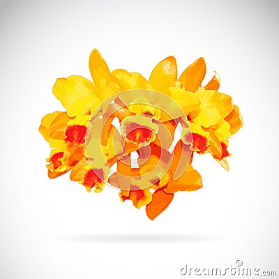 Vector image of orchid flower Vector Illustration