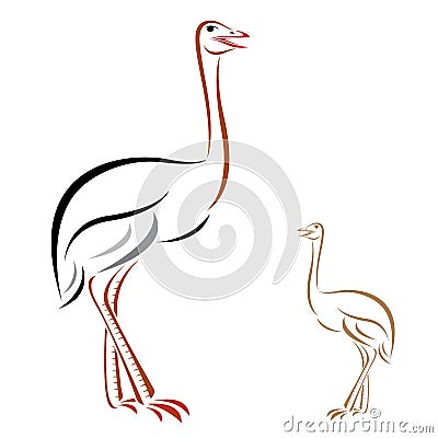 Vector image of an ostrich Vector Illustration