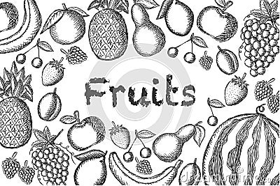 Vector image of painted fruits on a light background. Graphic illustration. Cartoon Illustration