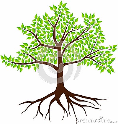 Vector image of a tree on a white background Vector Illustration