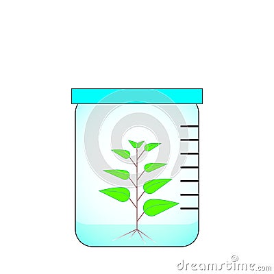 Vector image of plant in vitro culture in glass jar. Vector Illustration