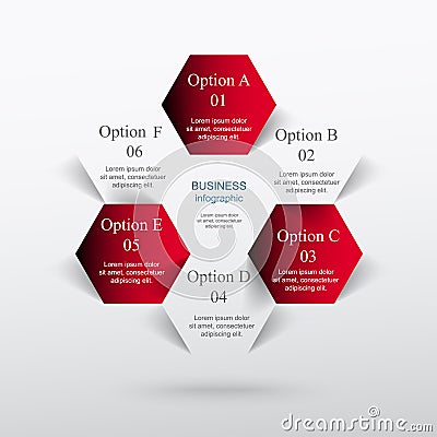 Vector infographic Vector Illustration