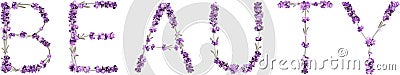 vector inscription Beauty made in the form of lavender sprigs Stock Photo