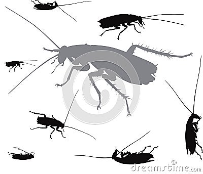 Vector insects collection Vector Illustration