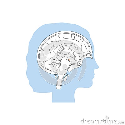 Vector isolated illustration of Amygdala Vector Illustration