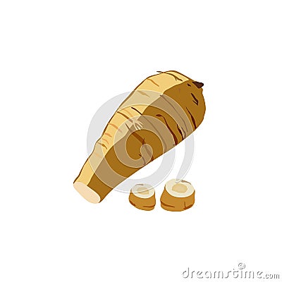 Vector isolated image of fresh parsnip in flat style Stock Photo