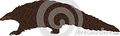 Vector Isolated Pangolin, exotic mammal animal with coronavirus Vector Illustration