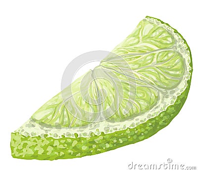 Vector isolated pattern object, hand-drawn harvest juicy, delicious rich wet green lime piece half, with highlights Vector Illustration