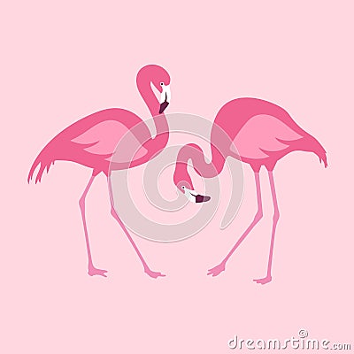 Vector isolated pink flamingos pair. Hand Drawn illustration Vector Illustration