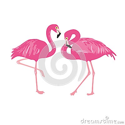 Vector isolated pink flamingos pair. Hand Drawn illustration Vector Illustration