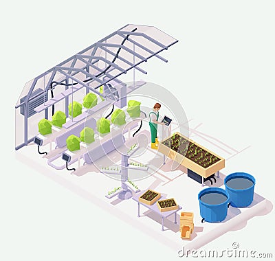 Vector isometric modern greenhouse illustration Vector Illustration