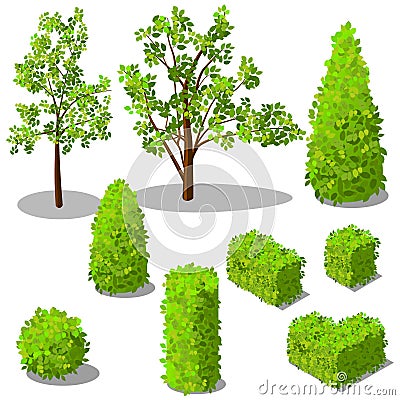 Vector isometric trees and decorative bushes Vector Illustration