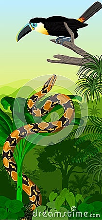 Vector Jungle rainforest vertical baner with channel-billed toucan and python boa constrictor Vector Illustration