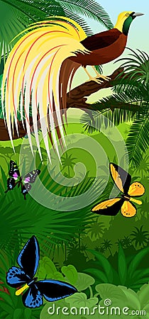 Vector Jungle rainforest vertical baner with Lesser Bird of Paradise with birdwing butterflies Vector Illustration