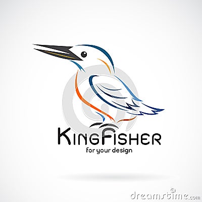 Vector of kingfishers birdAlcedo atthis on white background. Bird Design. Kingfishers logo or icon. Easy editable layered vector Vector Illustration