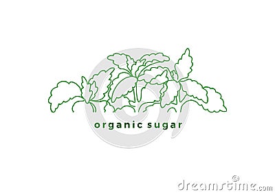 Vector label of stevia. Organic sugar. Natural sweet food Vector Illustration