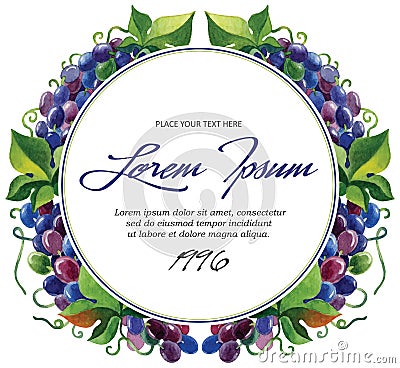 Vector label template wine grape branches with Vector Illustration