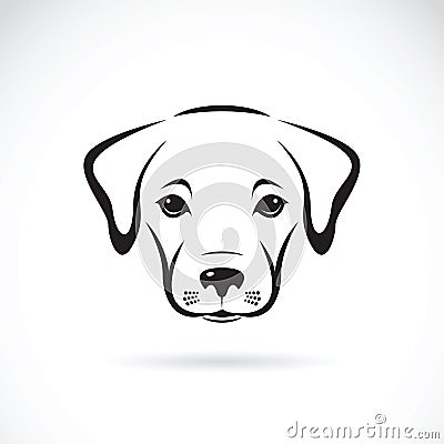 Vector of a labrador puppy face on white background. Vector Illustration