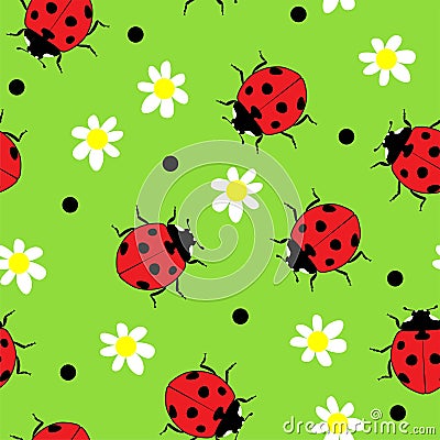 Vector ladybug and camomile flower seamless pattern Vector Illustration