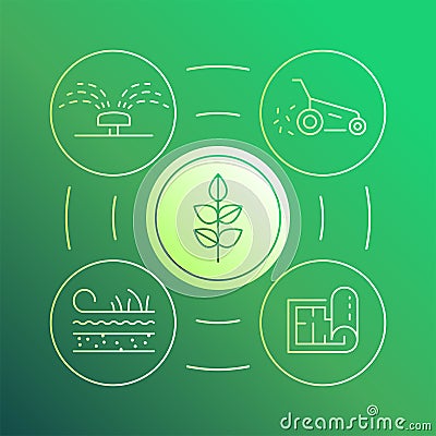 Vector infographics with linear illustration gardening circle colorful infographics concept for landscaping business. Cartoon Illustration