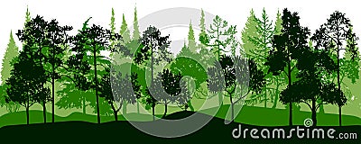 Vector landscape with pine trees Vector Illustration