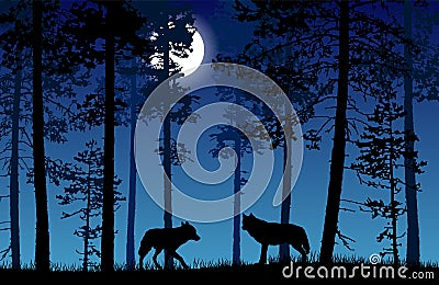 Vector landscape of two wolves in a forest at night with dark bl Vector Illustration