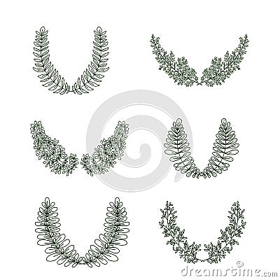 Vector Laurel Branches and Frames Collection Vector Illustration