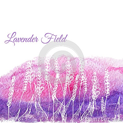 Vector lavender field on watercolor hand drawn Vector Illustration