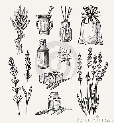 Vector lavender set Vector Illustration