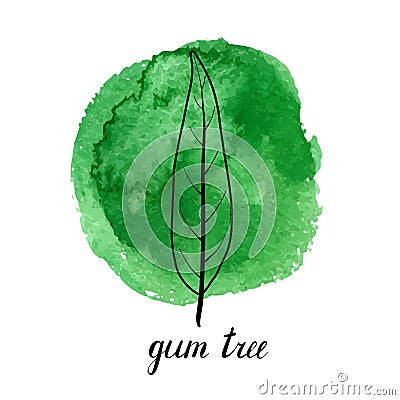 Vector leaf of gum tree Vector Illustration